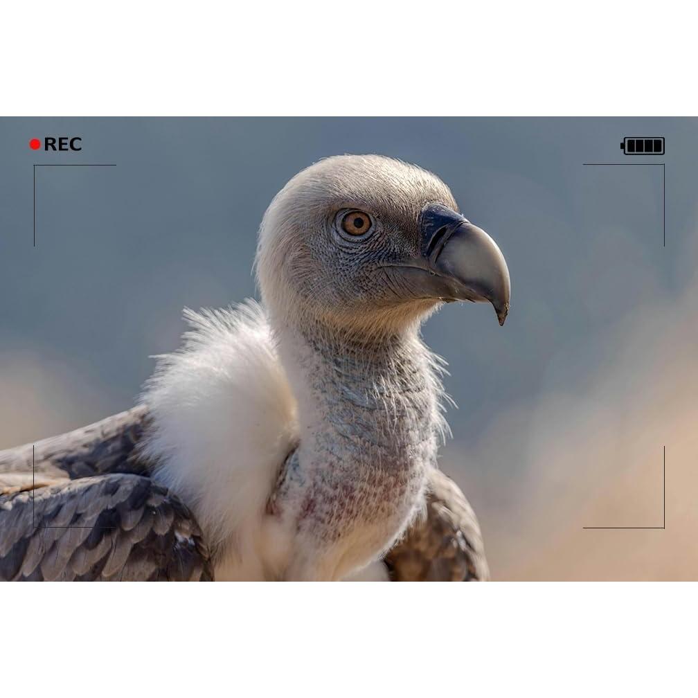 Convertidor Telefoto 2.0X Digital Nc para Lentes Canon EOS EF EF-S