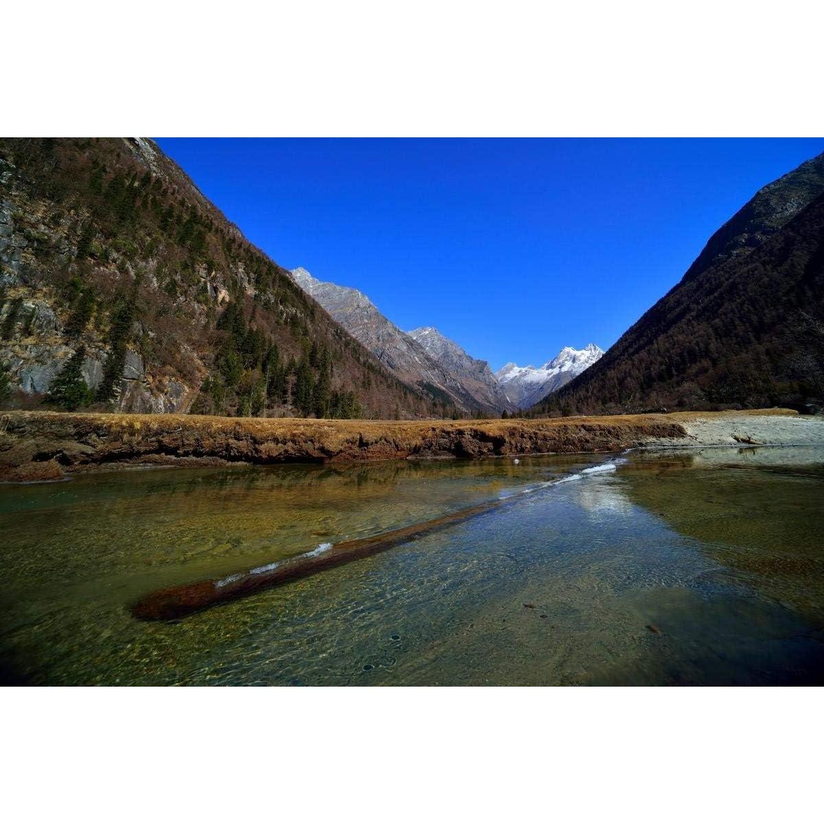 Lente Macro Gran Angular Laowa 15mm f/4 para Sony FE