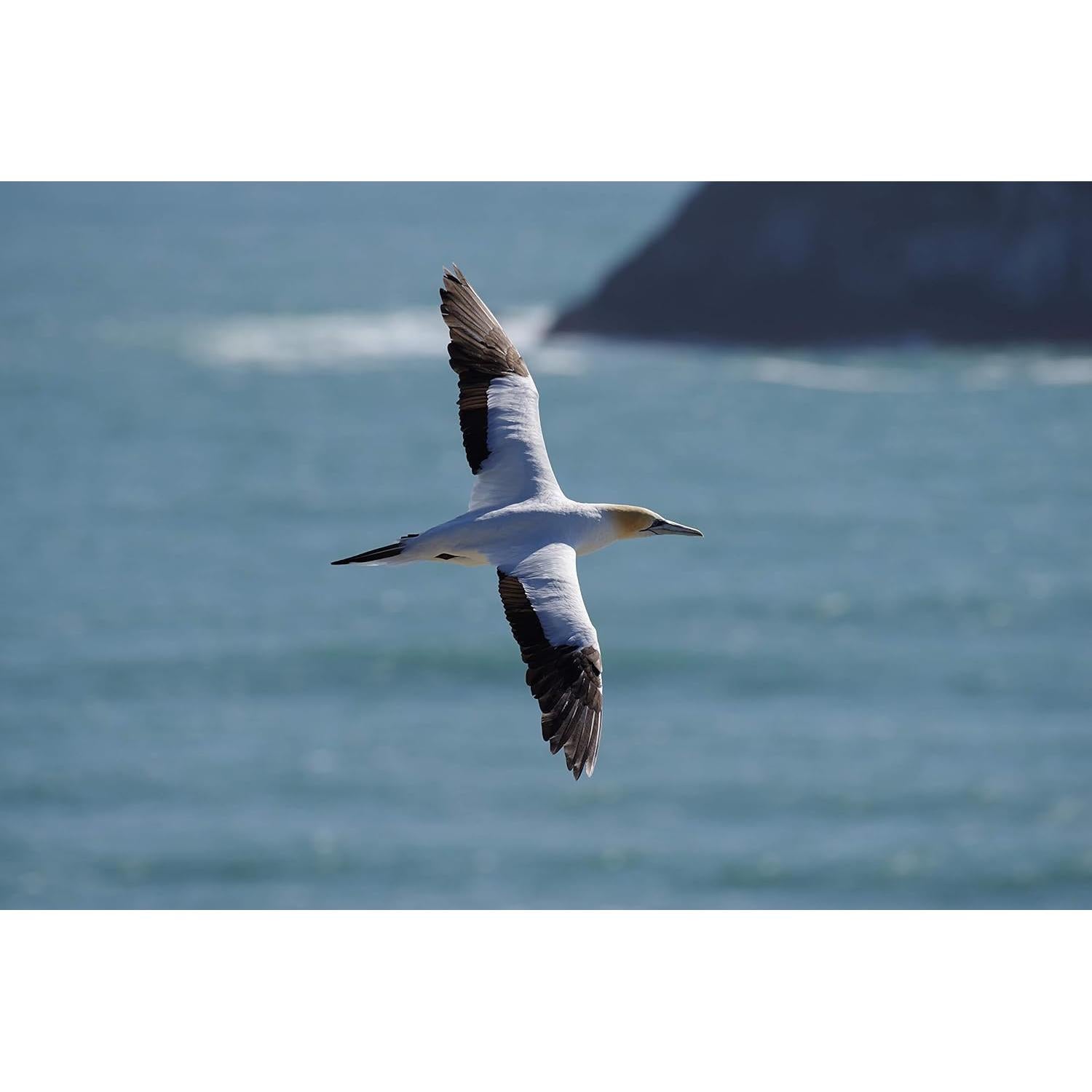 Cámara Digital Pentax K-1 Mark II con Lente 28-105mm WR 36.4MP