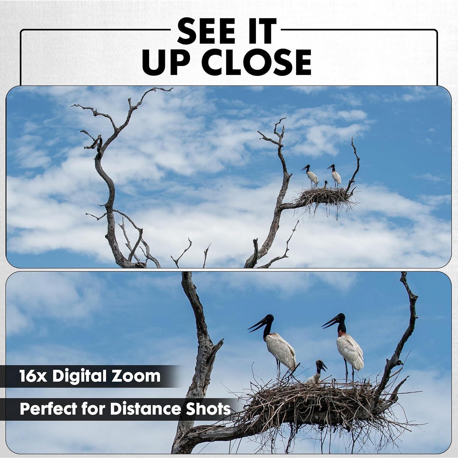 Cámara Digital Minolta MND55 64MP 4K 60FPS WiFi Rojo