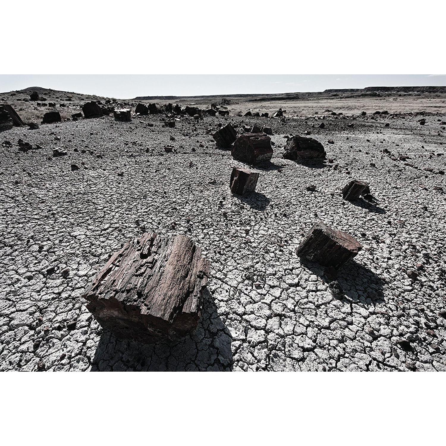 Lente Ultra Gran Angular Sigma 8-16mm f/4.5-5.6 para Canon DSLR