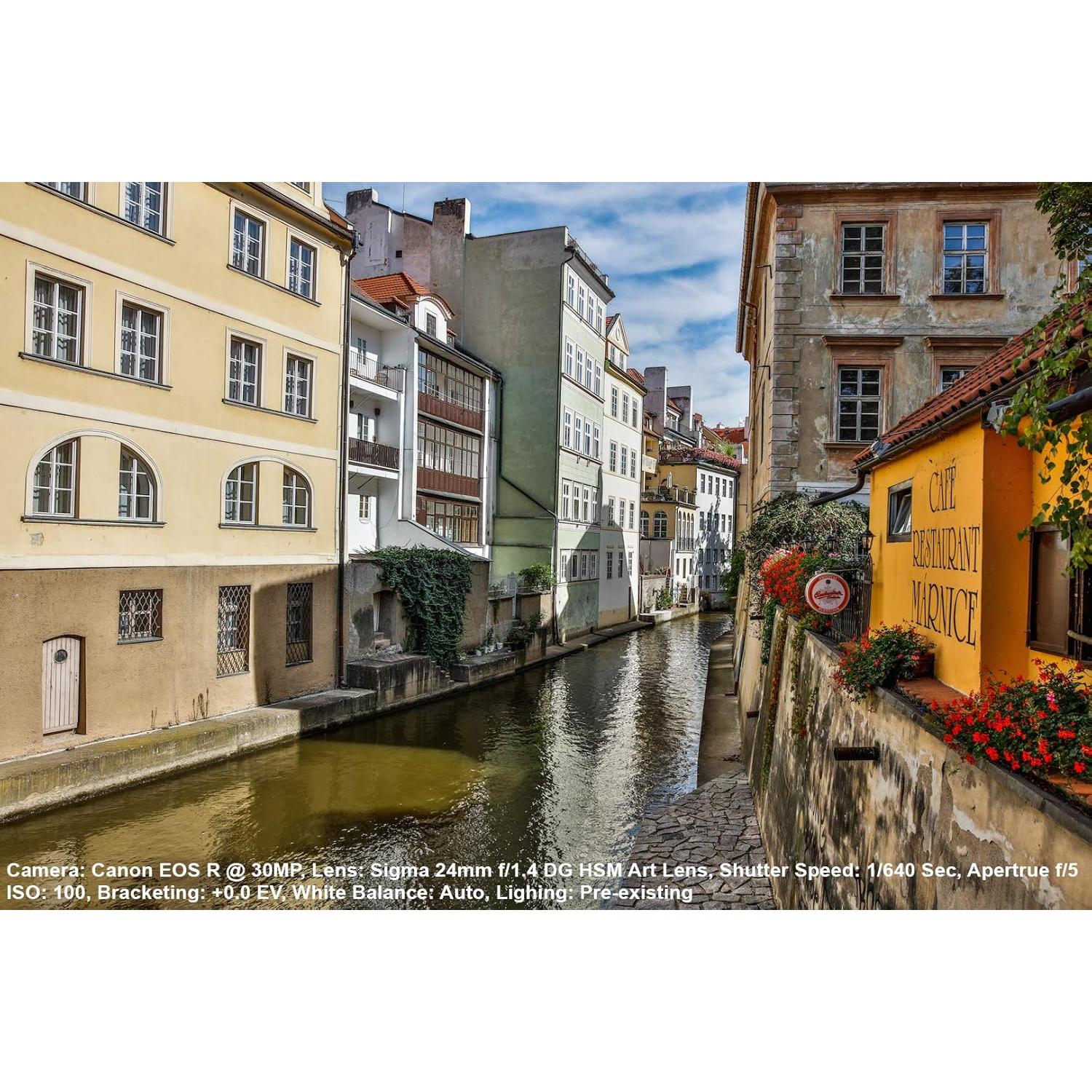 Lente Sigma 24mm F/1.4 DG HSM Art para Sony E - 0.66 kg