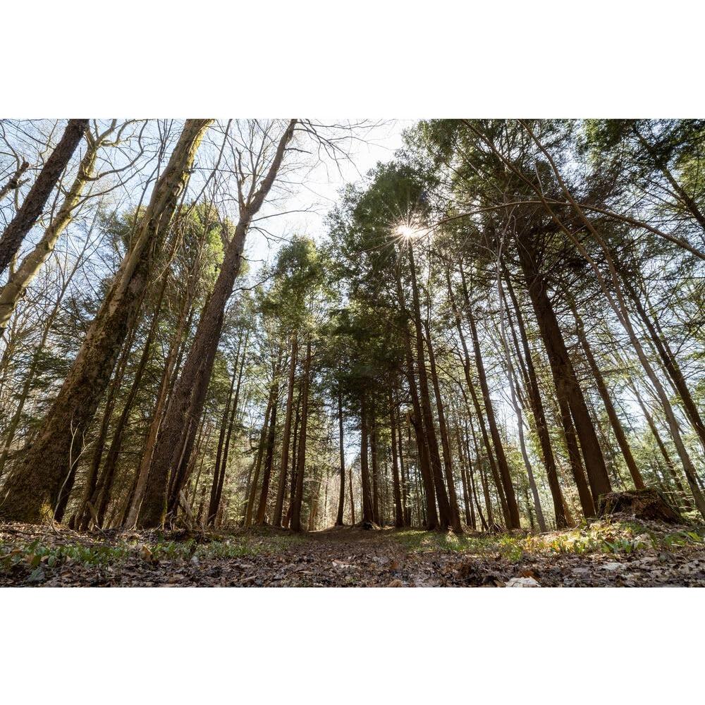 Lente Sigma 16-28mm f/2.8 DG DN para Sony E - Ultra Ancho