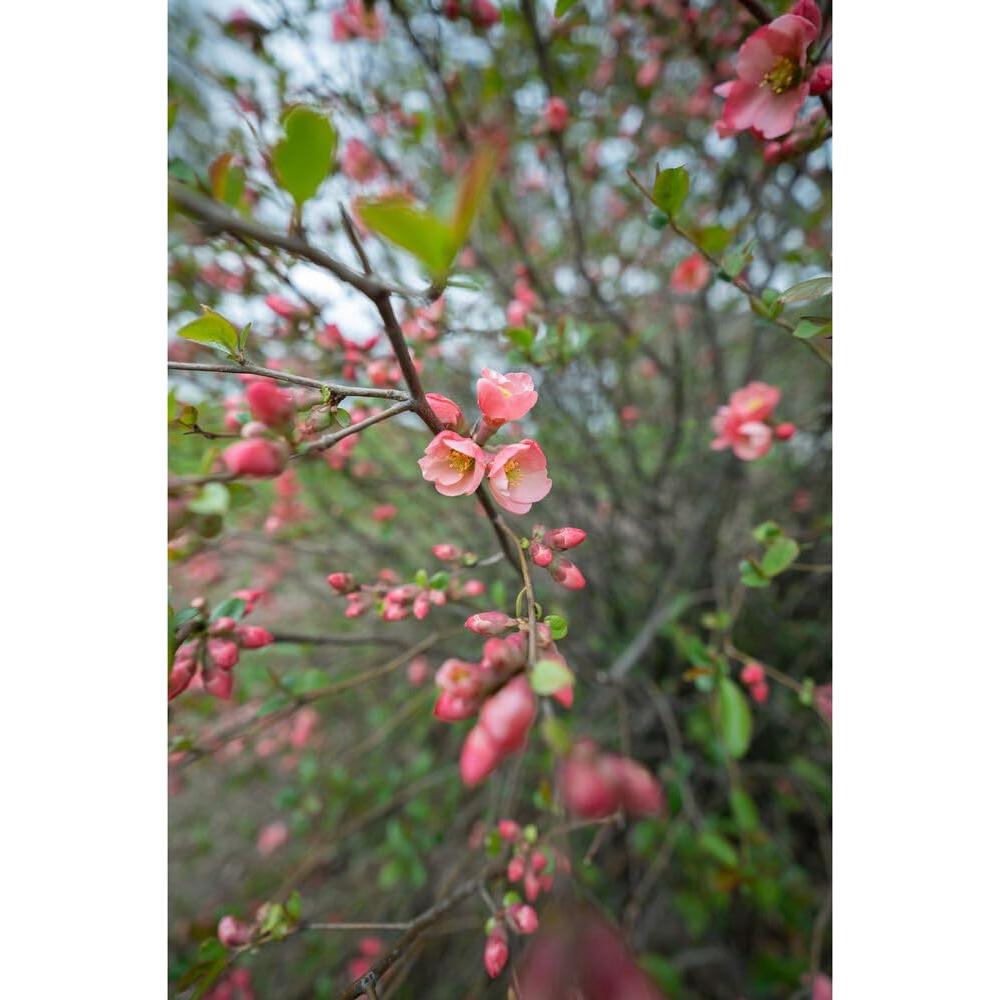 Lente Sigma 16-28mm f/2.8 DG DN para Sony E - Ultra Ancho