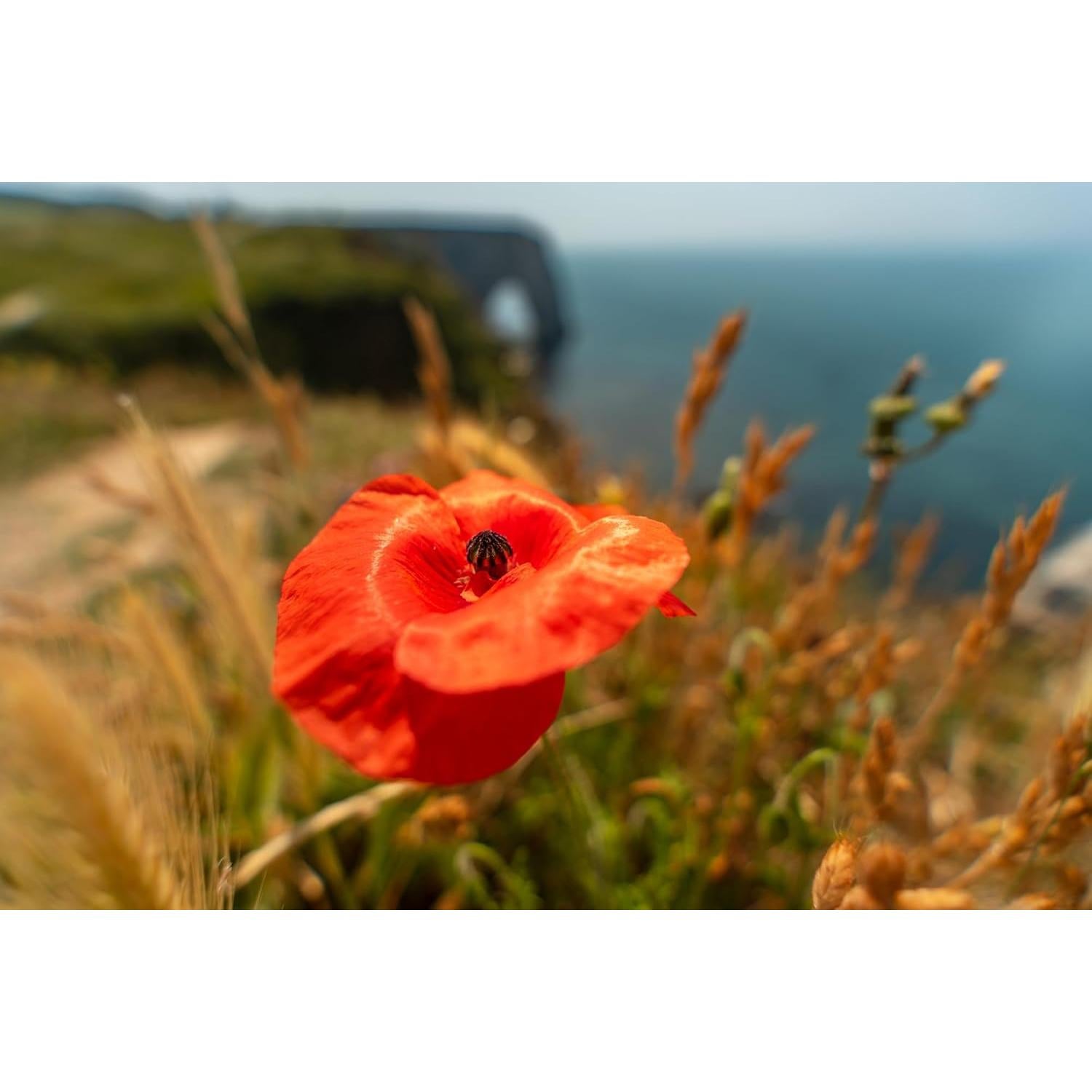 Lente Gran Angular Tamron 17-50mm F4 Di III VXD Sony FE