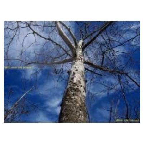 Filtro UV Multicoated BW Elite 62mm para Lentes Panasonic