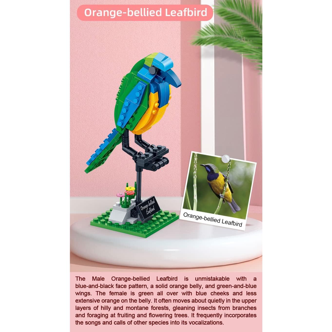 Apostrophe Games Birds Model Building Block Kit - 408 Pieces - Model for Kids and Adults