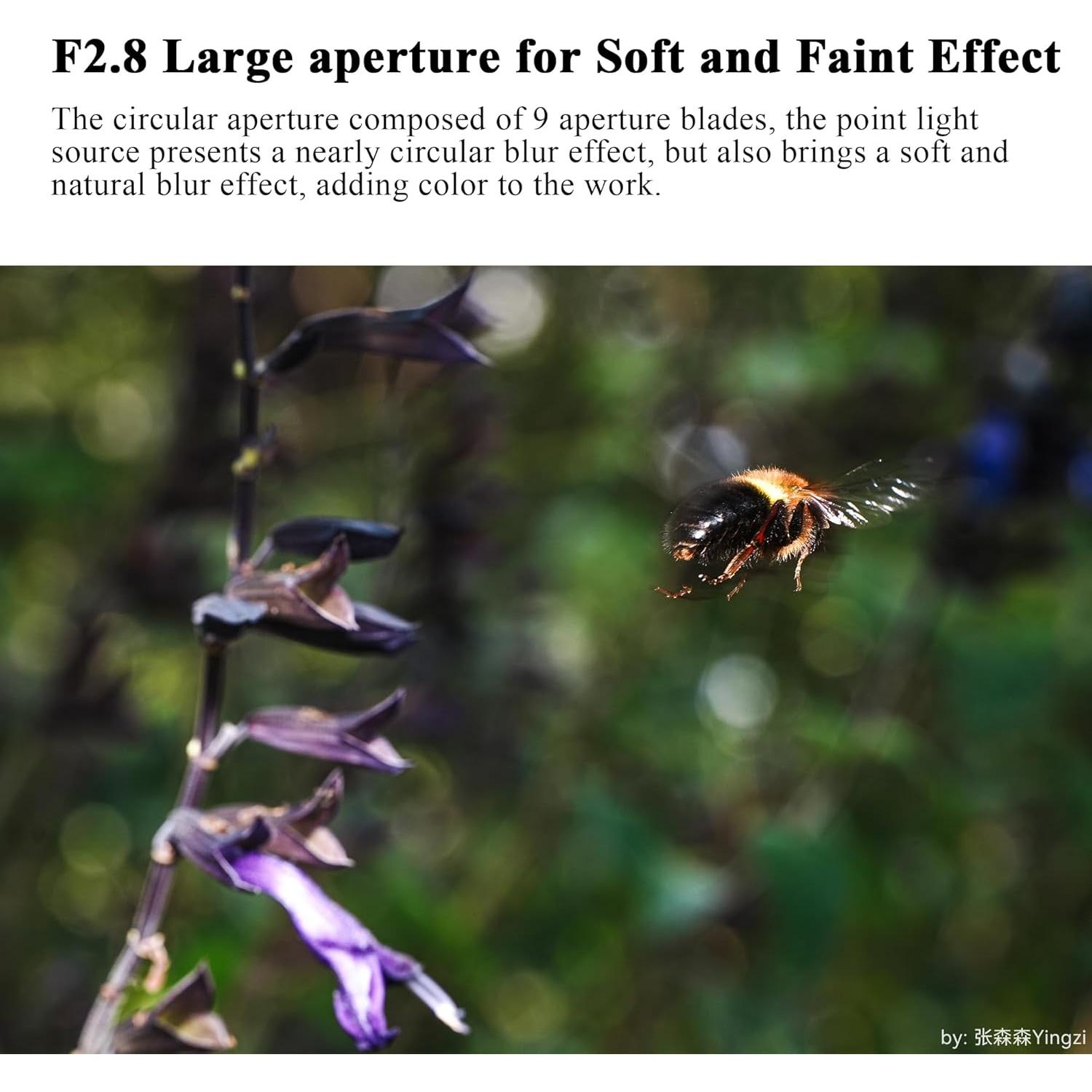 Lente Macro 60mm F2.8 2X 7artisans para Cámara Sony E