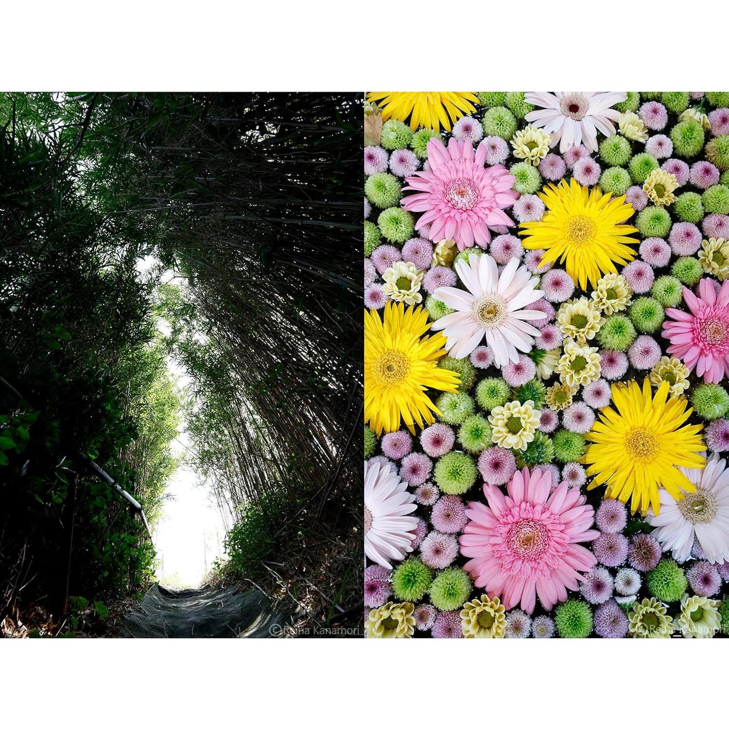 Lente gran angular Sigma 10-18mm F2.8 DC DN Montura RF