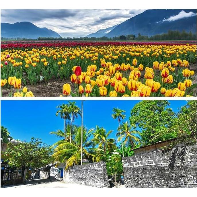 Lente Gran Angular Coyktonty para DJI Mini 4 Pro 0.75X HD