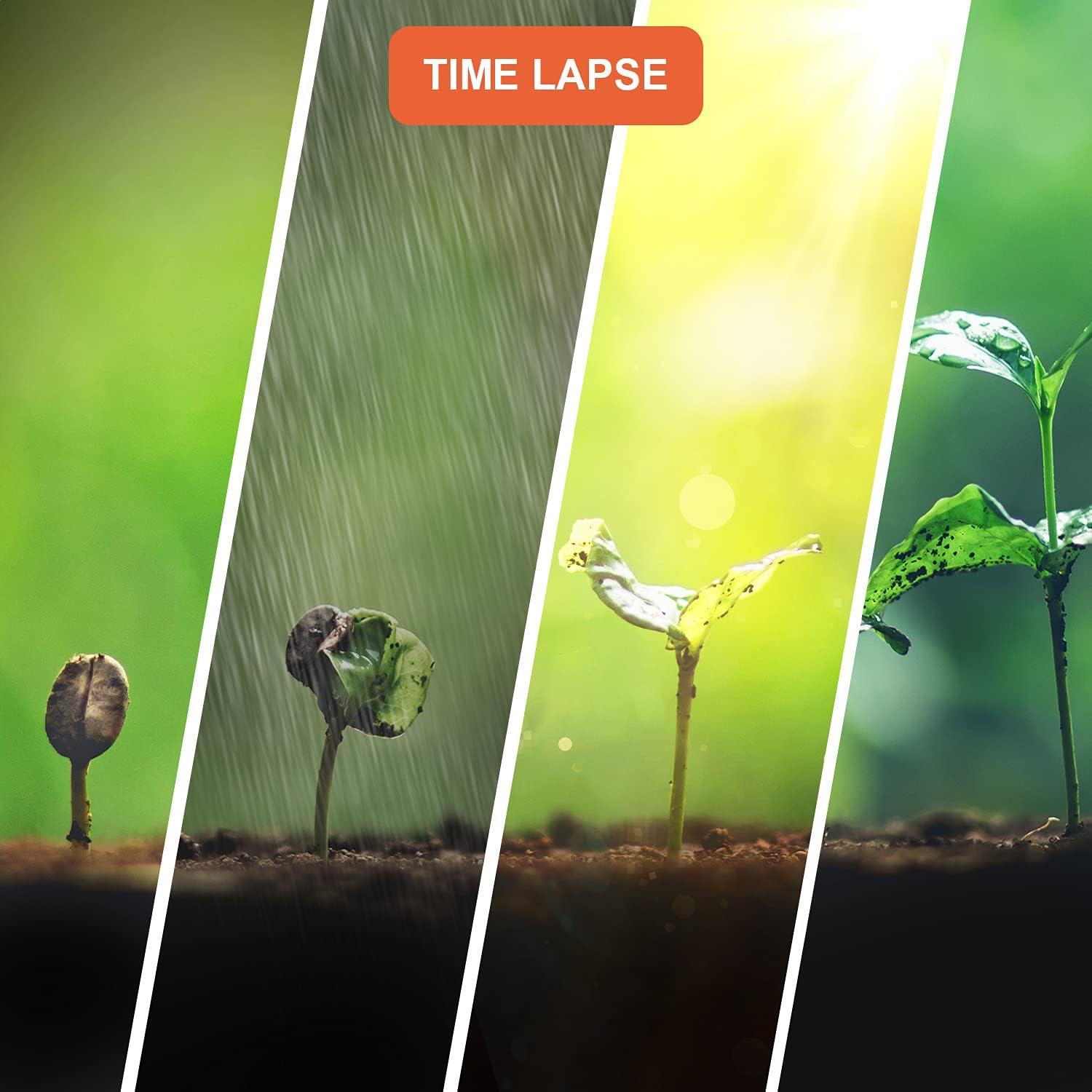 Cámara de Lapso de Tiempo Rexing TL1 2.4" LCD Full HD 1920x1080