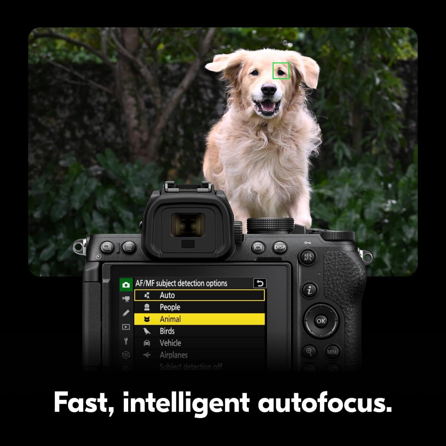 Cámara Sin Espejo Nikon Z5 II con Lente Gran Angular 24-50mm