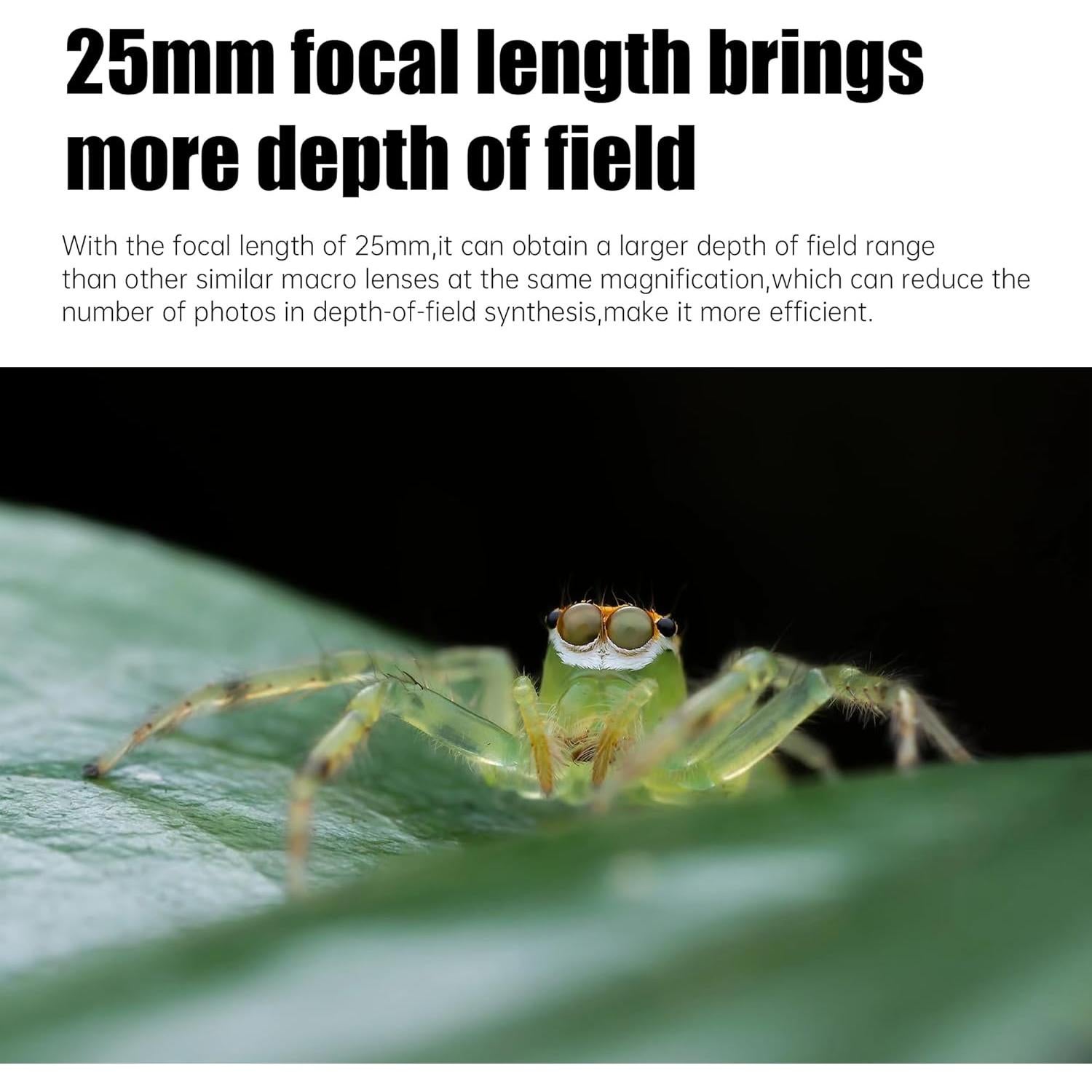 Lente Macro AstrHori 25mm F2.8 2-5X para cámaras Sony E-Mount