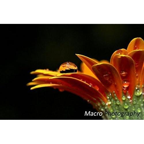 Lente Gran Angular 30mm con Macro y Kit de Limpieza OPTURA