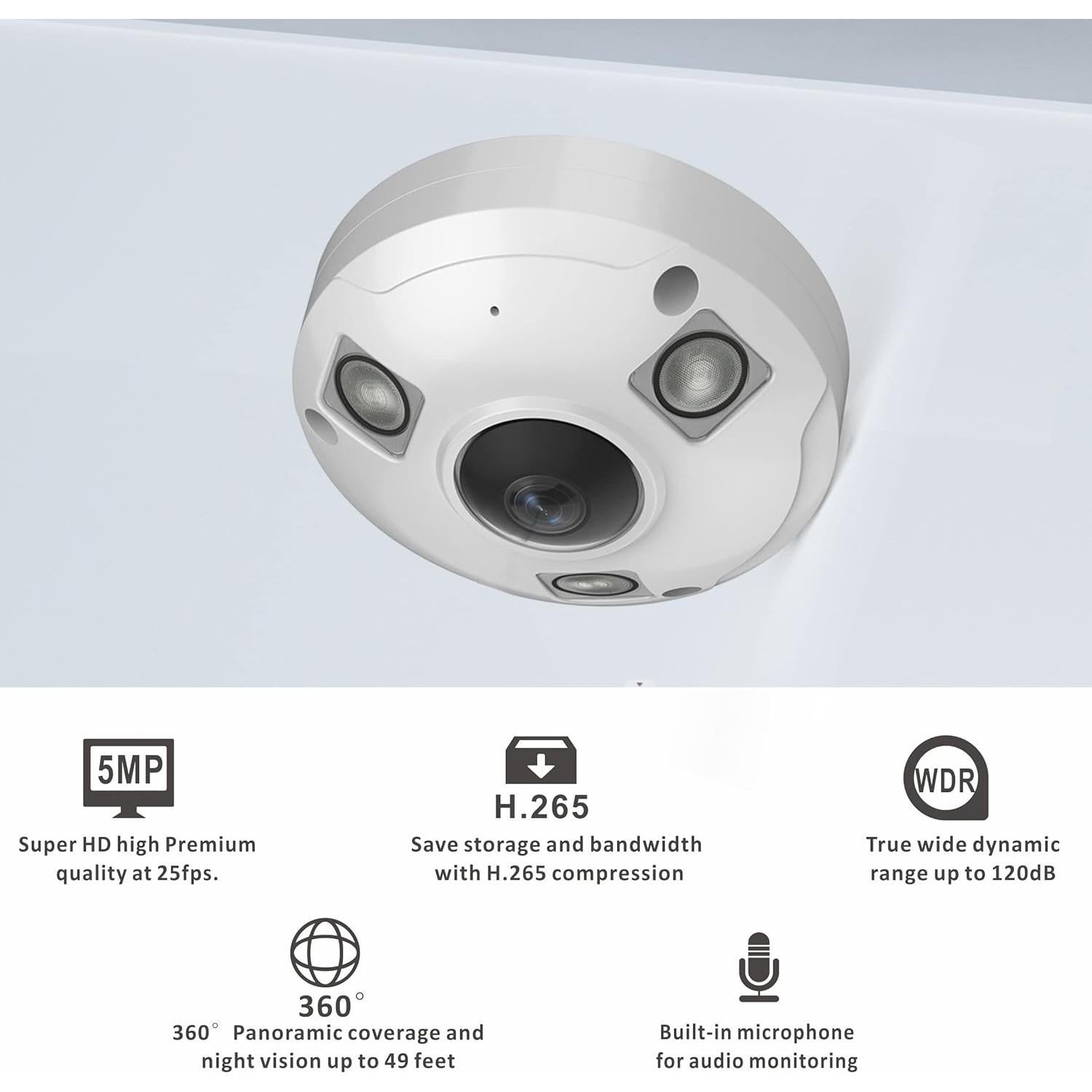 Cámara Fisheye IP POE 5MP Inwerang 360° Visión Nocturna