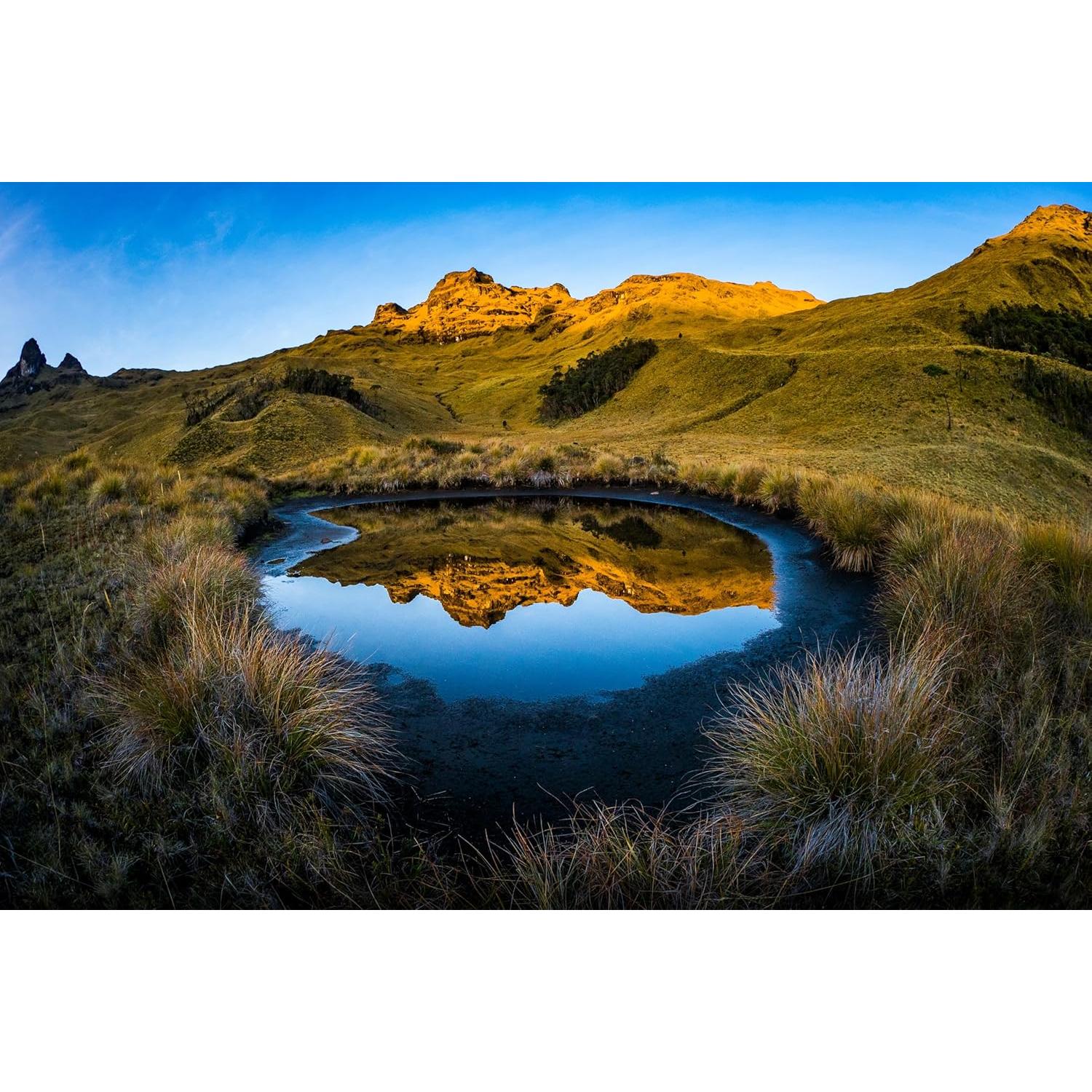 Lente Ojo de Pez OM SYSTEM M.Zuiko 8mm F1.8 PRO para MFT