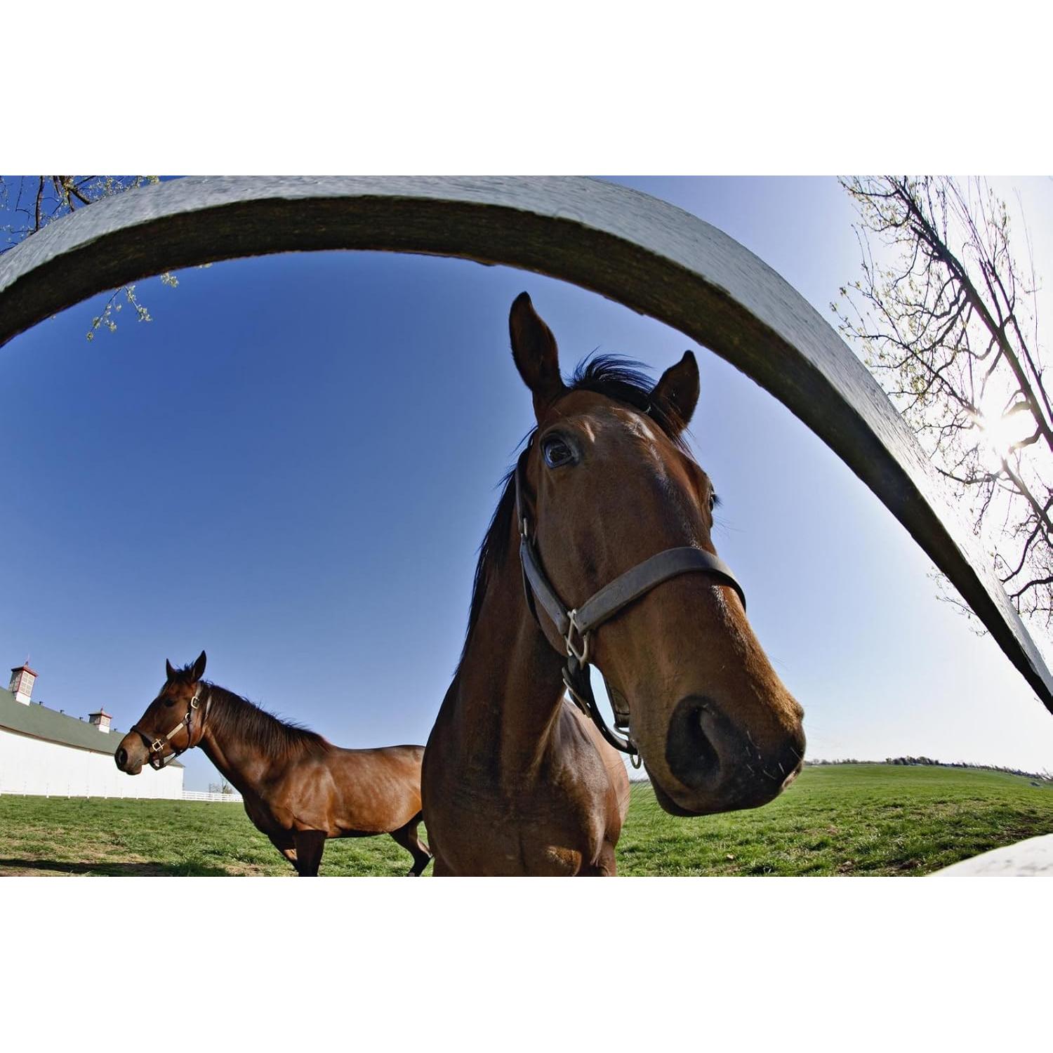 Lente Ojo de Pez Zeikos ZE-1858F 0.18X con Macro y Funda