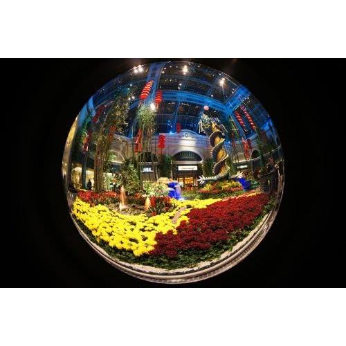 Lente Ojo de Pez MADOKA 180° para Cámaras Sin Espejo Sony E