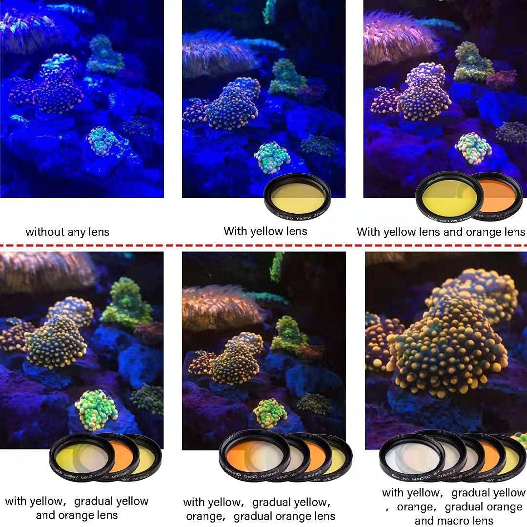 Juego de Lentes Coral Saricho para Smartphone - 8 Lentes y Accesorios