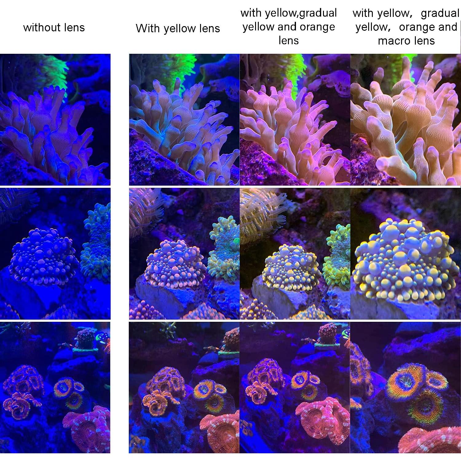 Juego de Lentes Coral Saricho para Smartphone - 8 Lentes y Accesorios