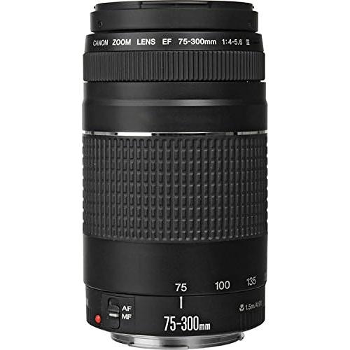 Lente Canon EF 75-300mm f/4-5.6 III + Accesorios de Limpieza