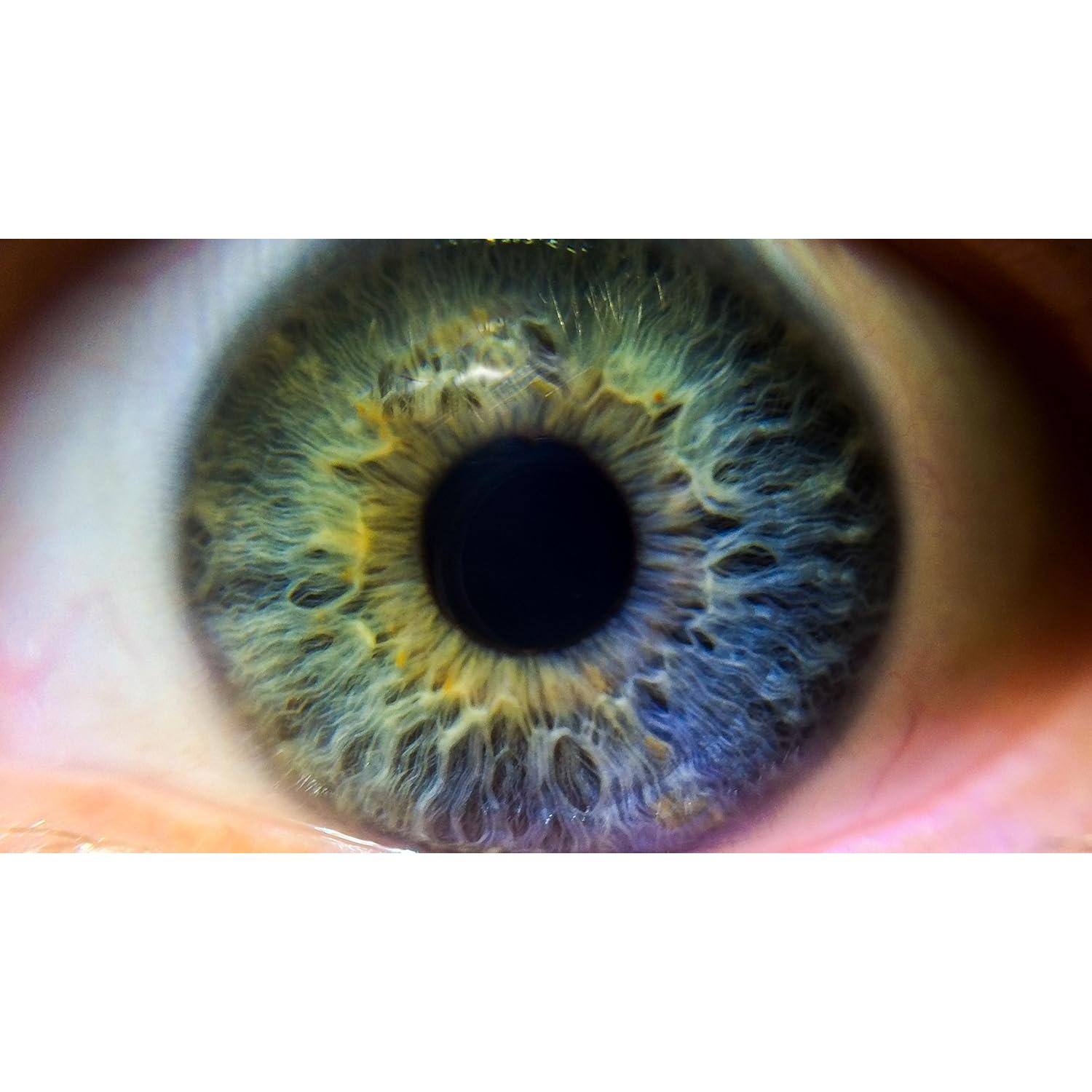 Kit de Lentes Nikon CoolPix: Gran Angular 0.43x y Telefoto 2.0x