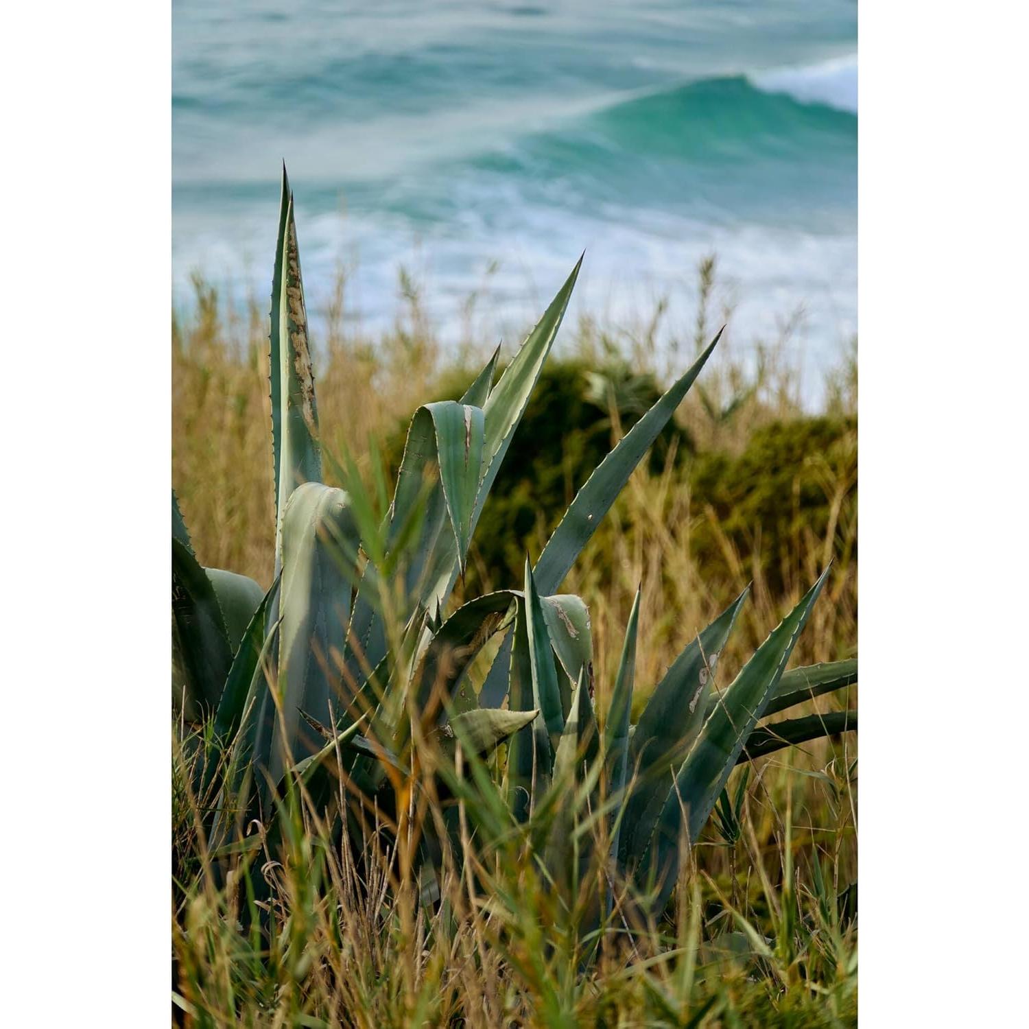 Lente Sigma 16-300mm f/3.5-6.7 DC OS E para Cámaras Sin Espejo