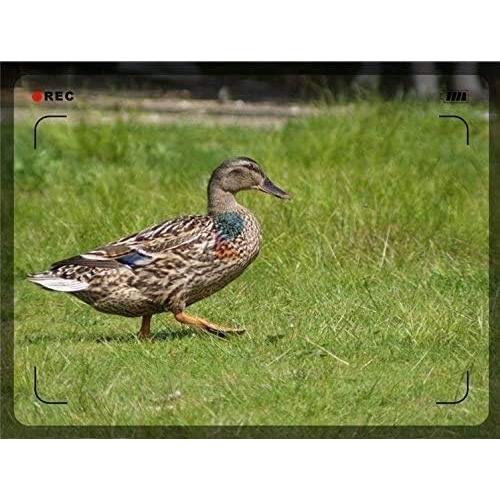 Lente Telefoto Digital Nc 3.5X para Panasonic Lumix G85