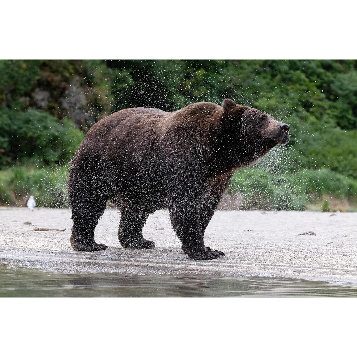 Teleconvertidor Fujifilm Fujinon XF 1.4X TC WR