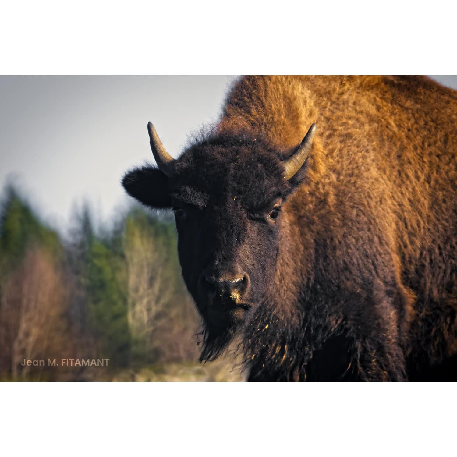 Lente Telefoto Tokina SZX 400mm f/8 Reflex MF Montura Nikon F