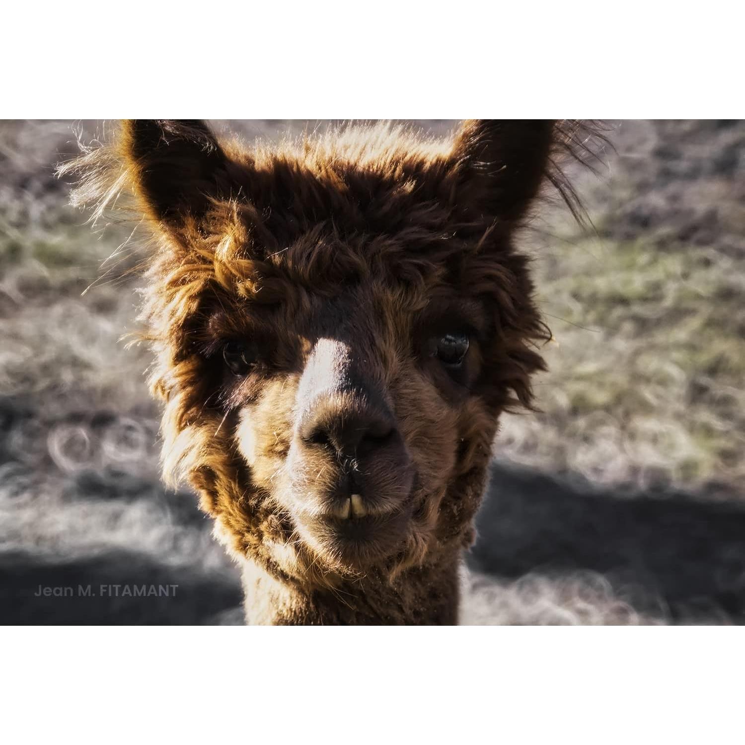 Lente Telefoto Tokina SZX 400mm f/8 Reflex MF Montura Nikon F