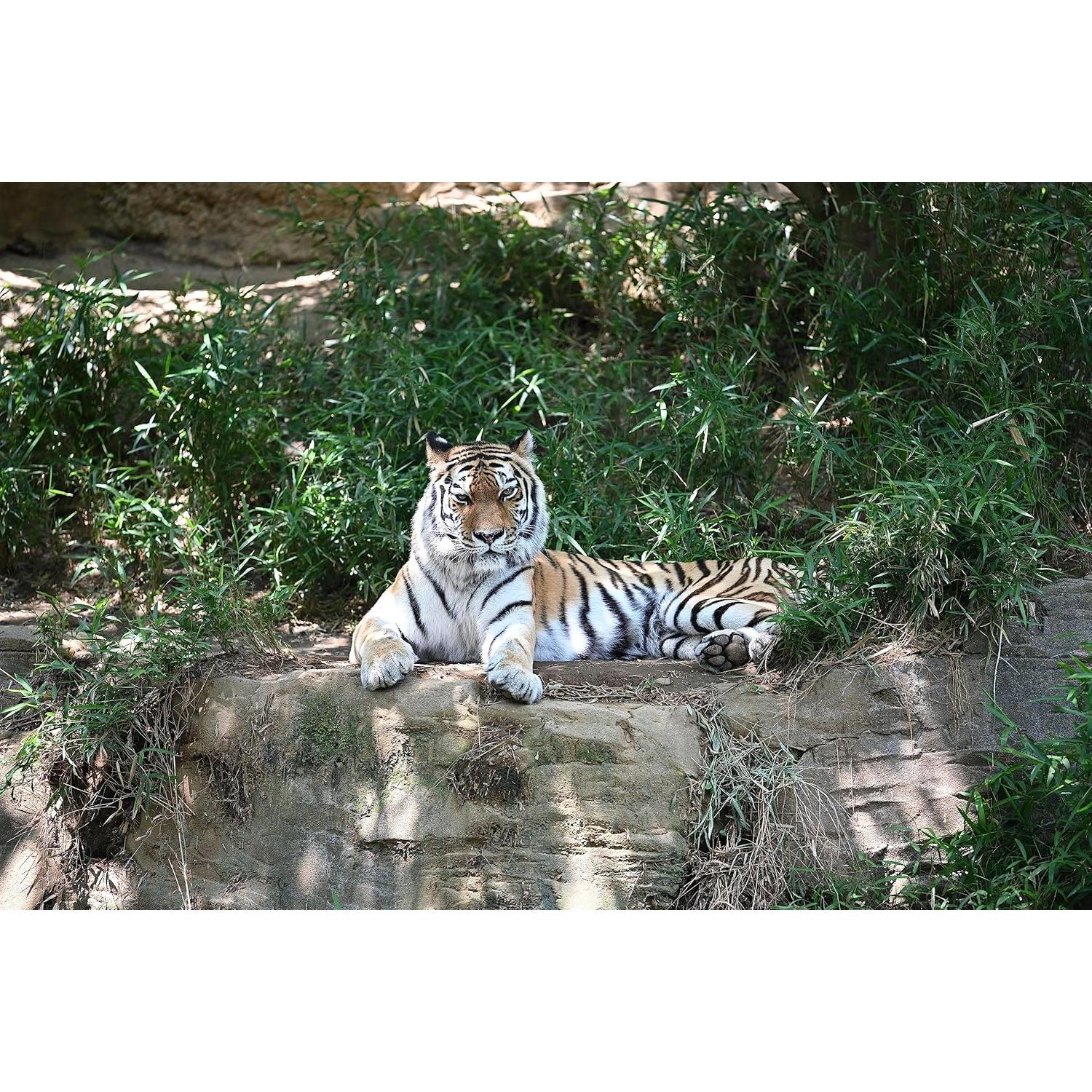 Teleconvertidor Nikon Z TC-2.0X para Lentes NIKKOR Z