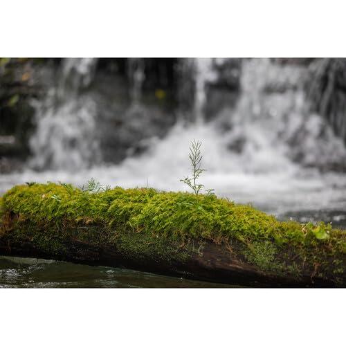 Lente Sigma 28-105mm f/2.8 DG DN Art para Sony E con Accesorios