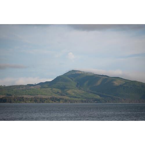 Lente Sigma 28-105mm f/2.8 DG DN Art para Sony E con Accesorios