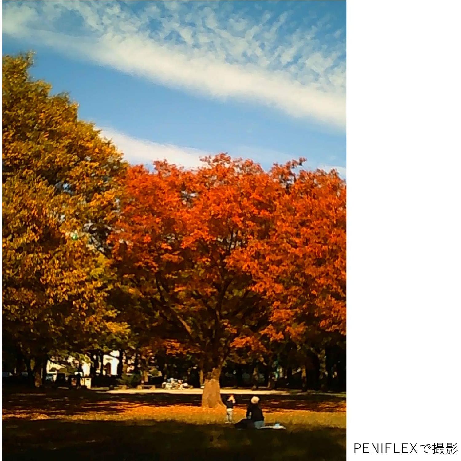 Cámara Digital de Juguete Kenko PIENIFLEX KC-TY02 Clásica