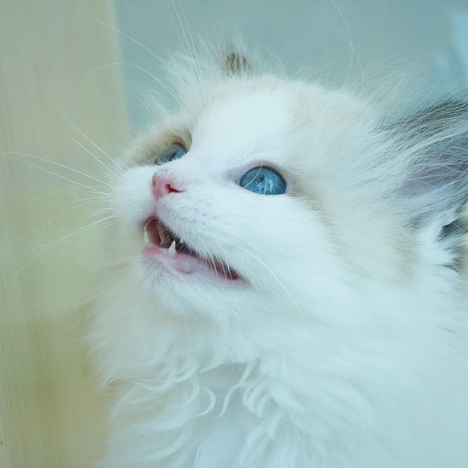 Lente Macro PERGEAR 60mm F2.8 II 2X para Sony E-Mount