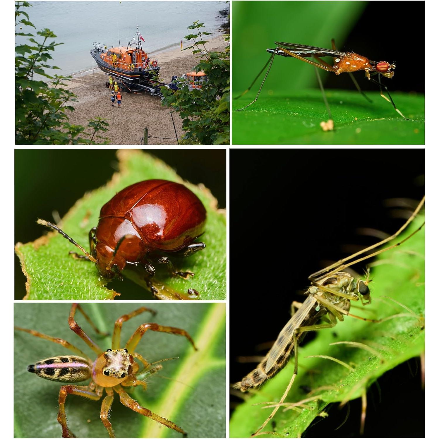 Lente Macro PERGEAR 60mm F2.8 II 2X para Sony E-Mount