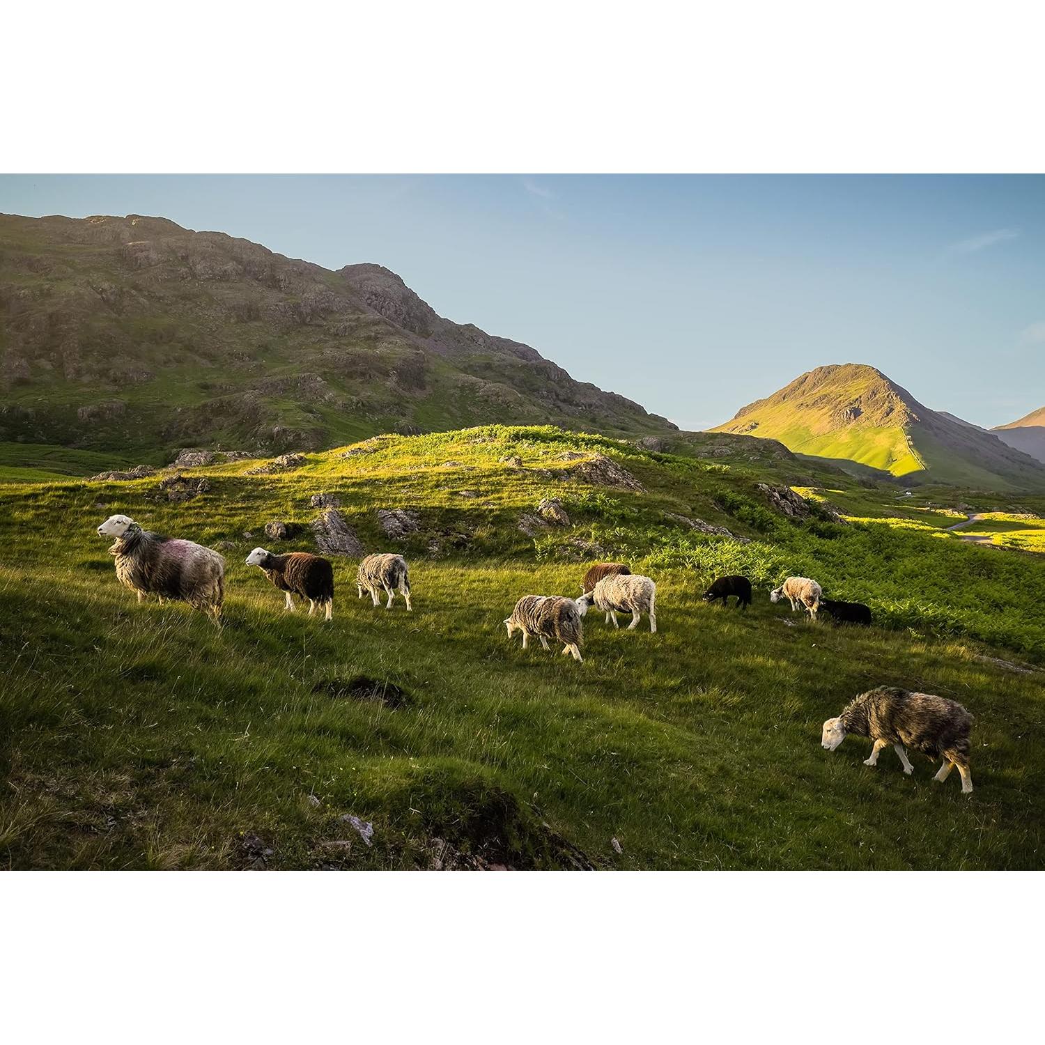 Lente Canon RF 24mm F1.8 Macro IS STM - 269g