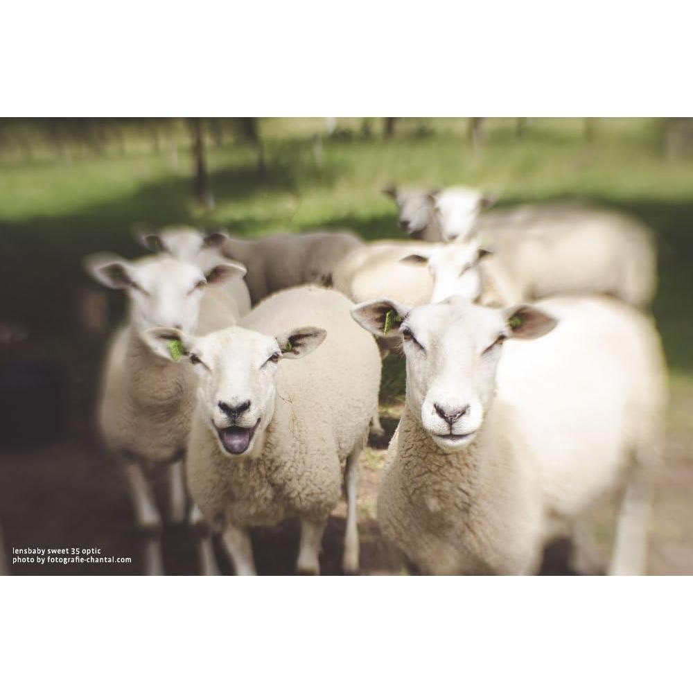 Lensbaby Composer Pro II Sweet 35 para Canon EF - 35mm