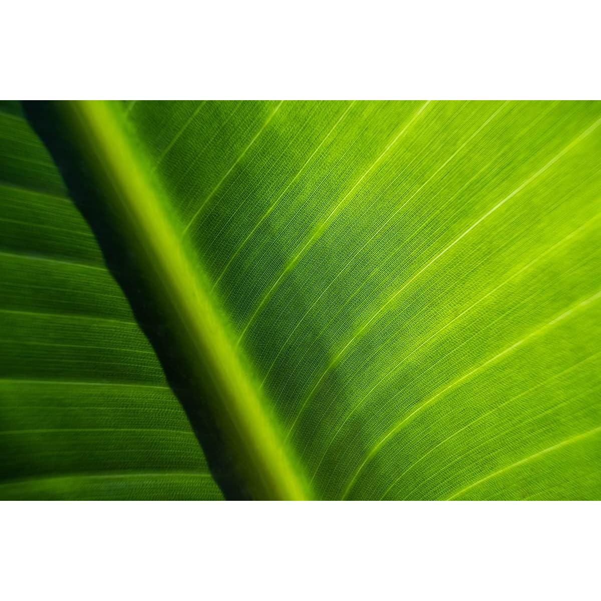 Lente Tamron 11-20mm F2.8 Di III-A RXD para Fujifilm X