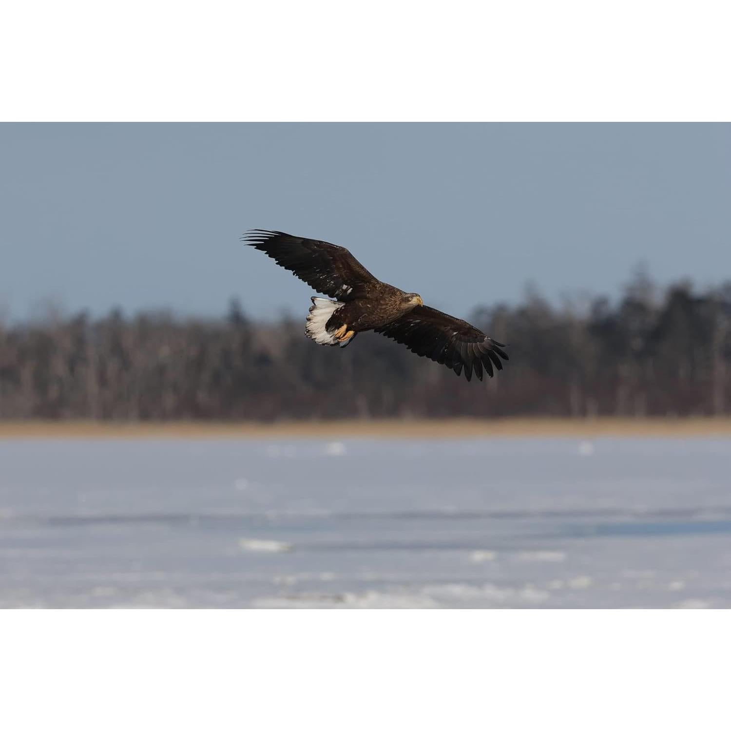 Cámara sin espejo Canon EOS R7 + Lente RF-S 18-150mm