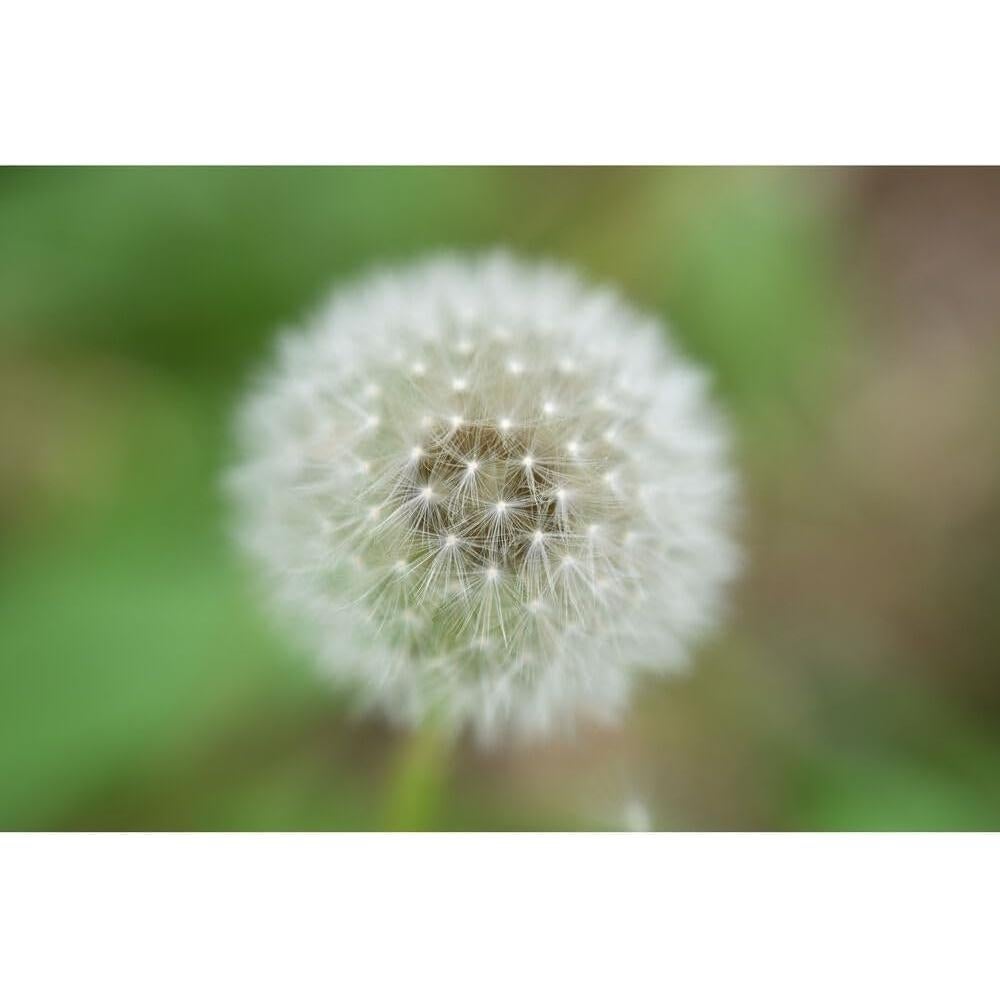 Lente Zoom Nikon NIKKOR Z 70-180mm f/2.8 + Accesorios