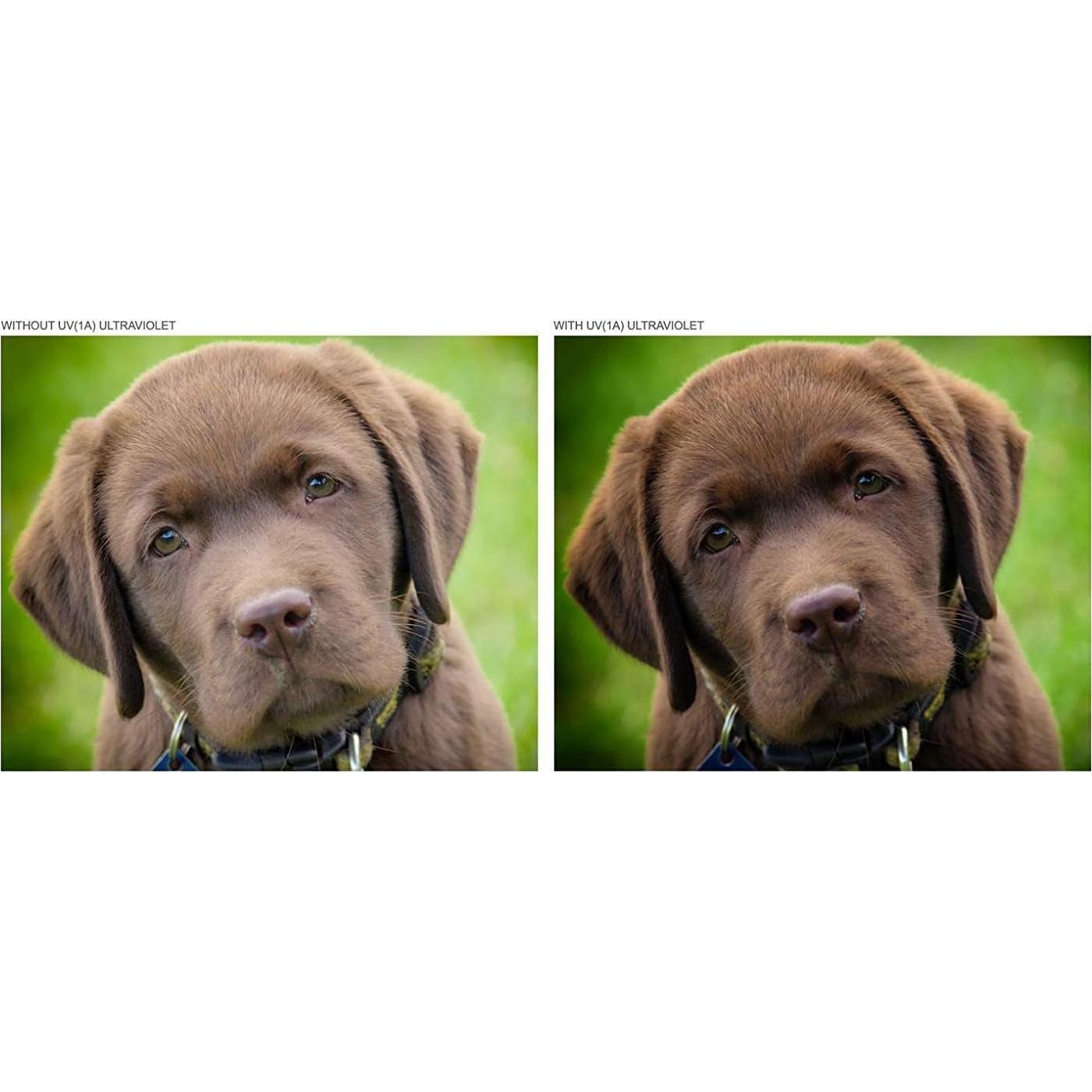 Kit de Filtros de Lente 3 Piezas Digital Nc para Sony 24-70mm