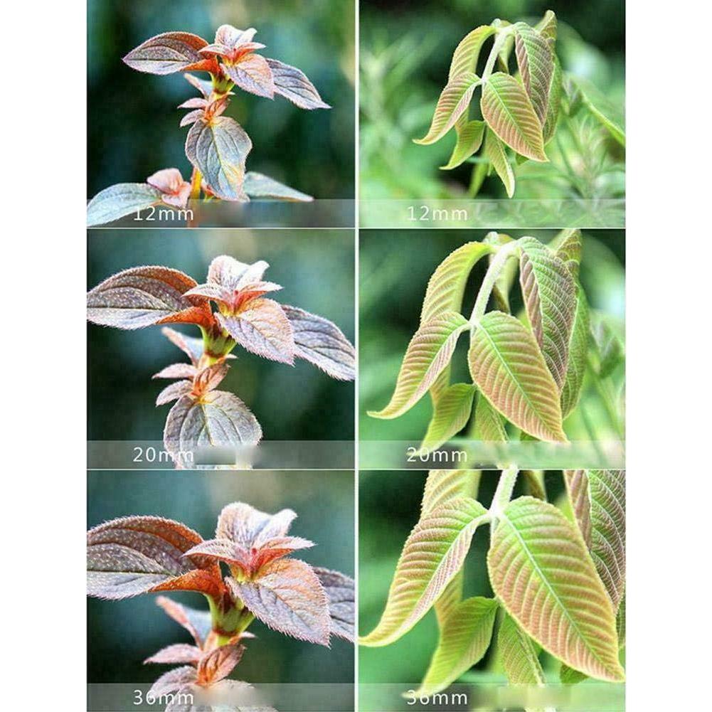 Conjunto de tubos de extensión macro Mcoplus 12mm 20mm 36mm para Nikon