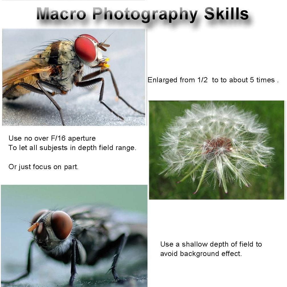 Conjunto de tubos de extensión macro Mcoplus 12mm 20mm 36mm para Nikon