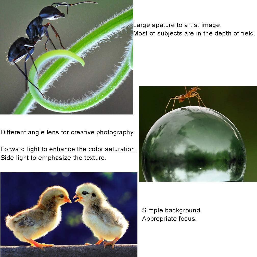 Conjunto de tubos de extensión macro Mcoplus 12mm 20mm 36mm para Nikon