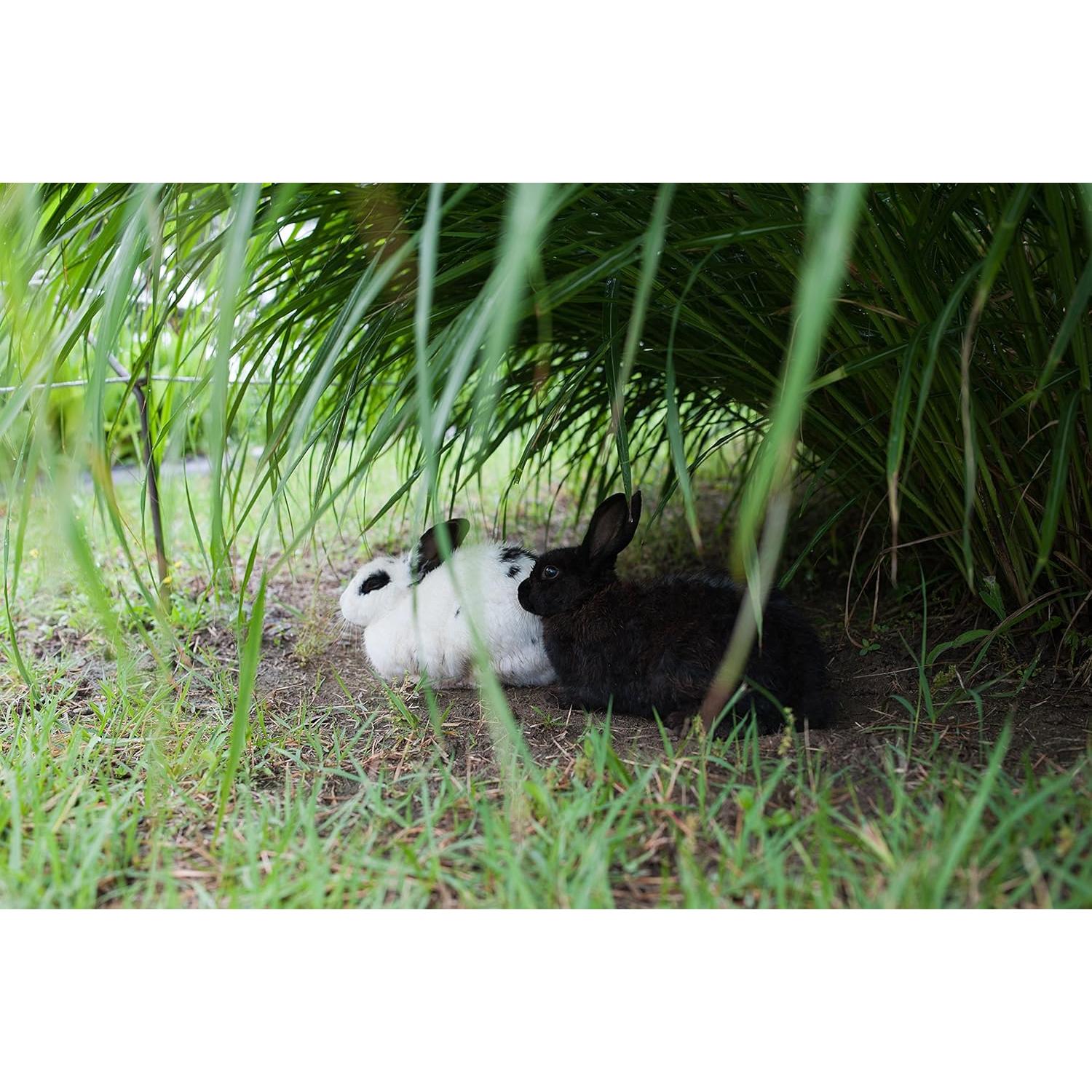 Lente Samyang 35mm F1.4 Manual para Pentax - 0.70 kg