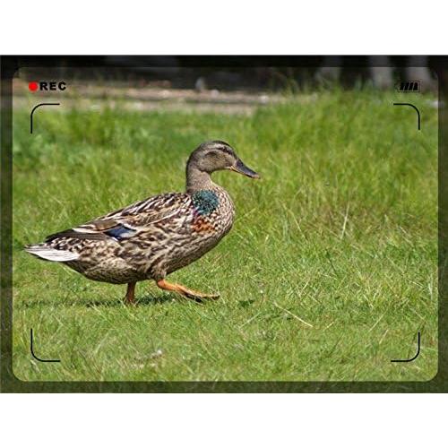 Lente Telefoto Manual 1000mm Digital Nc para Sony Alpha a7R II