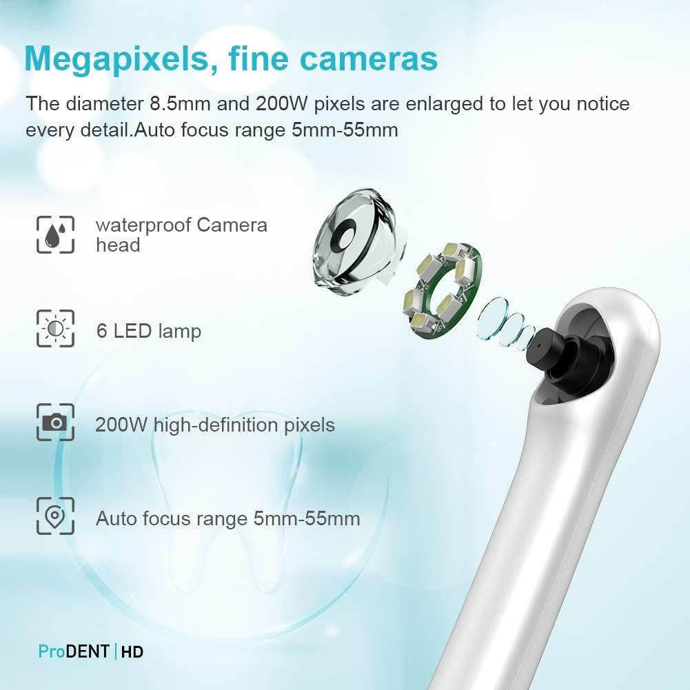 Cámara Intraoral HD ProDENT PD760 USB Compatible Software