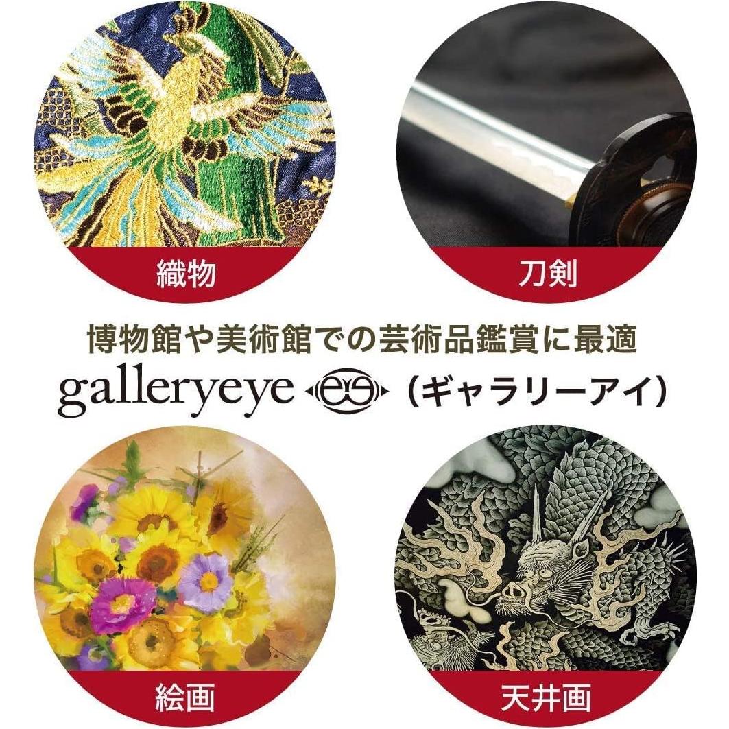 Monocular Kenko Gallery Eye 4x12 Negro, Enfoque 19cm, Japón